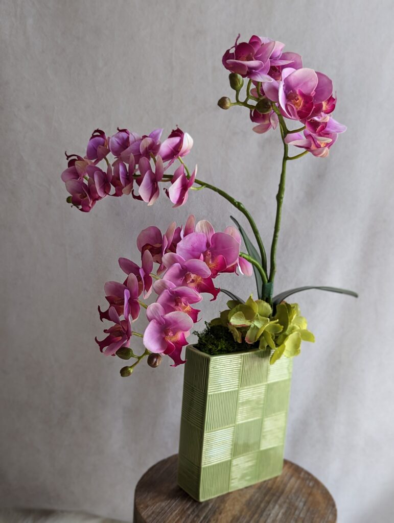 胡蝶蘭とライムグリーン紫陽花のアレンジメント